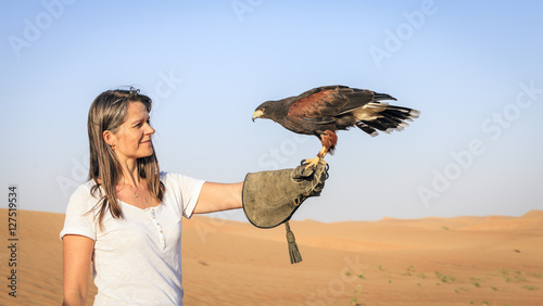 Harris Hawk in training