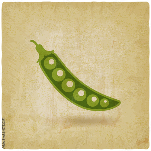 green pea pod old background