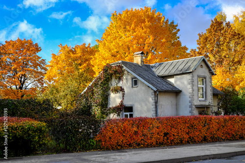 Small house surrounded by coloured trees on a sunny autumn day