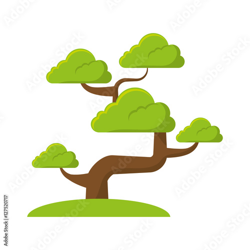 bonsai tree culture japanese vector illustration eps 10