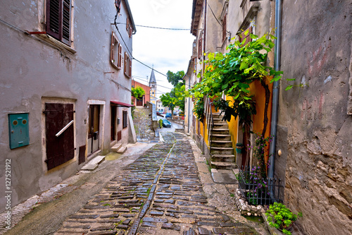 Old stone paved street of Buje photo