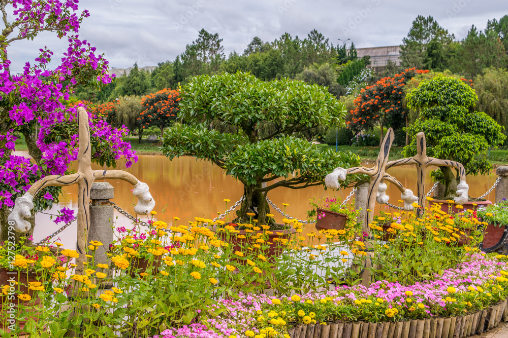 Trees in a park at a bank of a pond in Vietnam Dalat city