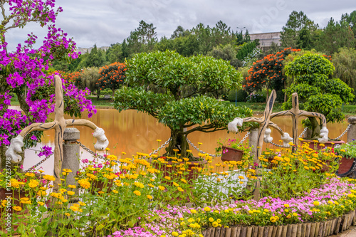Obraz na płótnie Trees in a park at a bank of a pond in Vietnam Dalat city w salonie