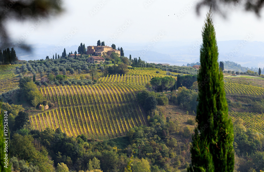 Tuscan idyll, near San Gimignano, Tuscany, Italy.