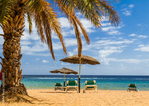 Yellow sand beach with lounge chairs and umbrellas in Tenerife Island  Spain