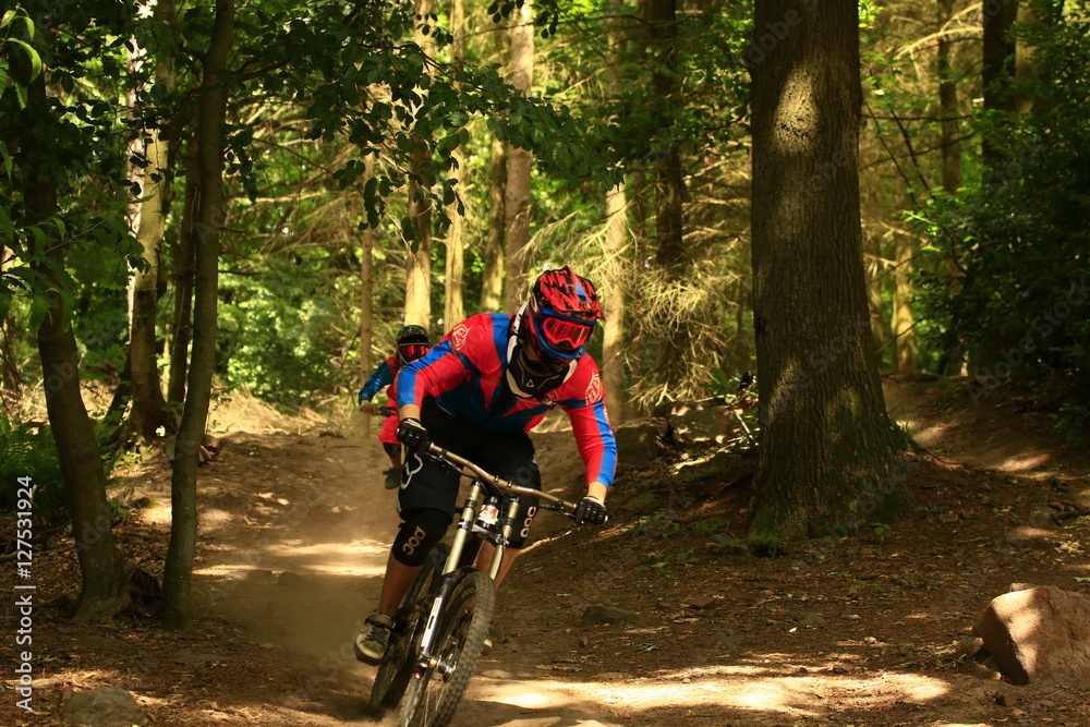 Obraz premium Downhill