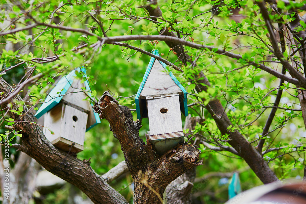 Two nesting boxes for birds