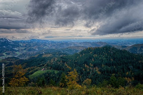 Schwarzwald im Regen