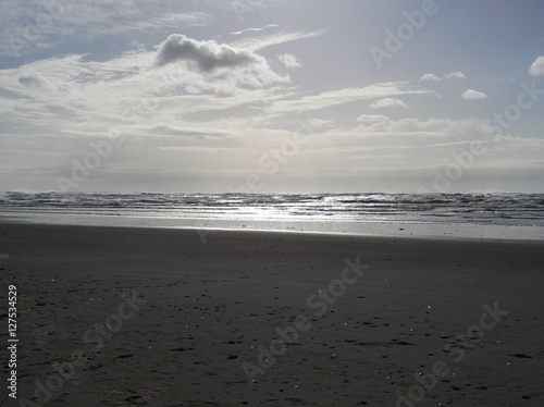 Kalaloch Beach