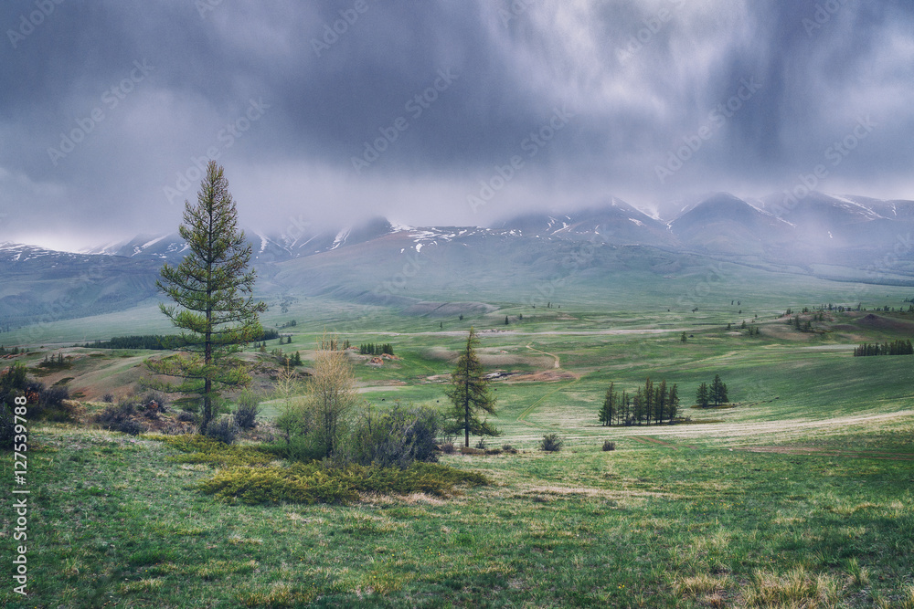 Rain in the mountains/Rain in the mountains, Altai Mountains, Russia