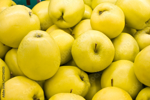 Obraz na płótnie yellow apples. group. many w salonie