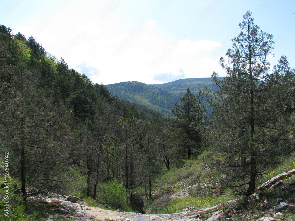 Долина в Крыму Долина в Крыму