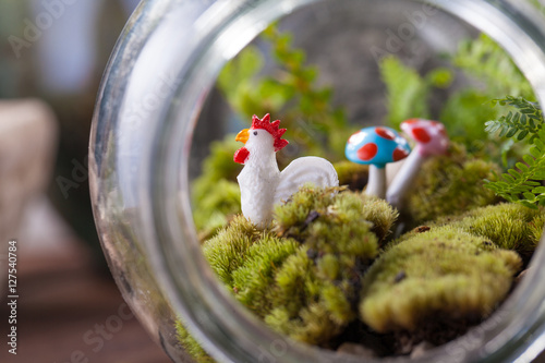 Quadro em tela A terrarium garden scene in glass ball shape with Tillandsia, pebbles and flamin