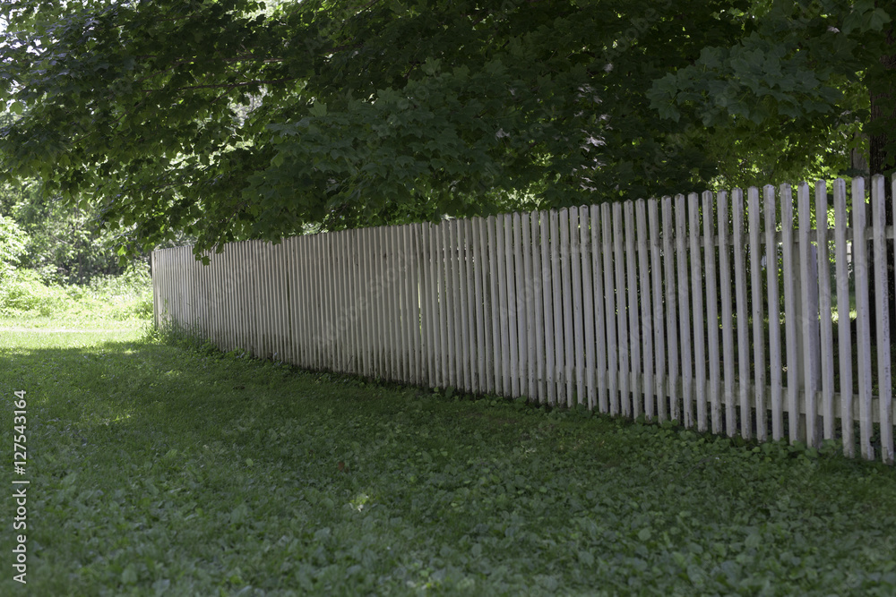 fence fence