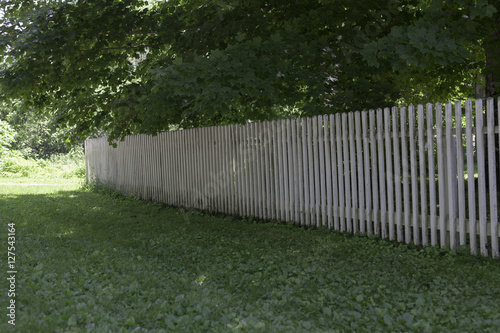 fence