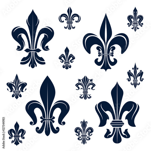 French fleur-de-lis heraldic symbols and flowers
