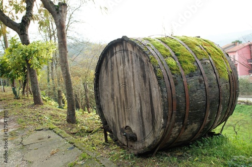 Old wine barrique in the country, Campania , Italy 