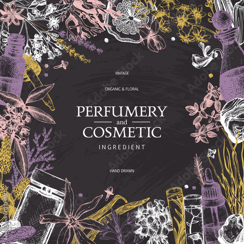 Vintage template. Ink hand drawn design with aromatic plants and fruits on chalkboard.. Vector illustration with highly detailed perfumery and cosmetics ingredients sketch.