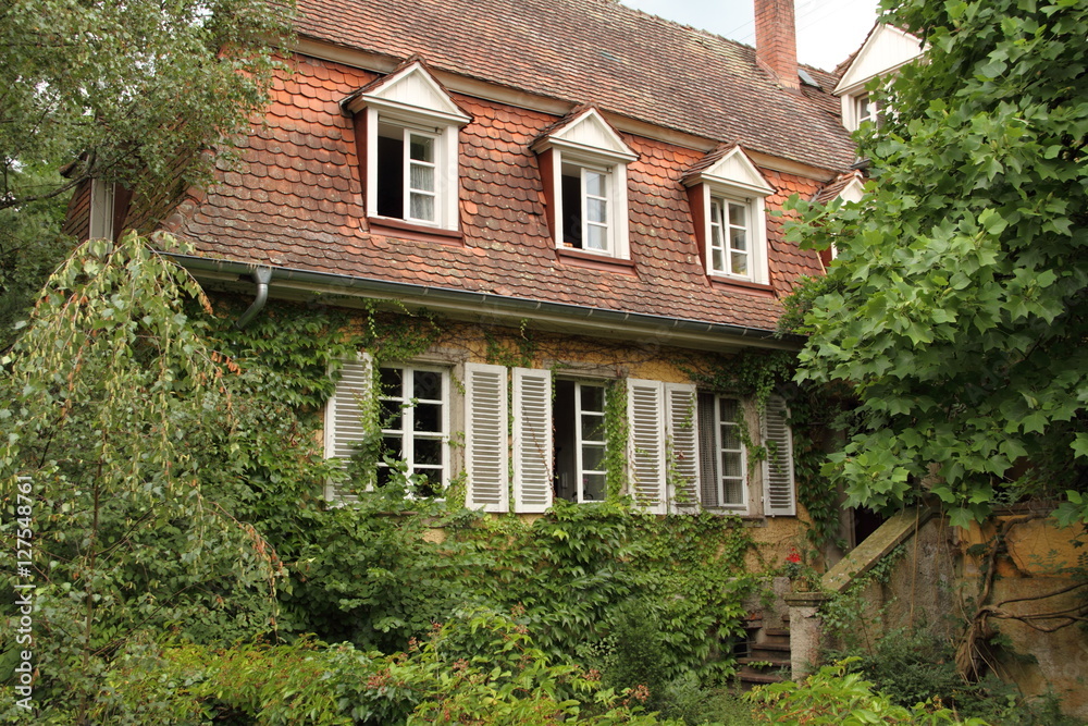 altes Haus mit Efeu