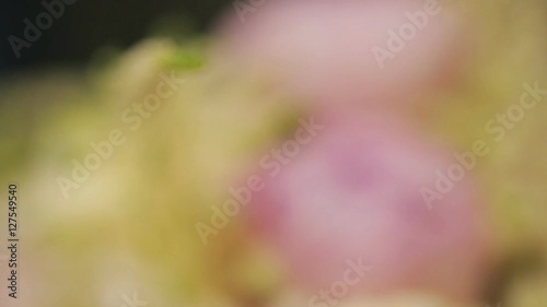 Macrofilming of beautiful flowers close up with, effect of degradation photo