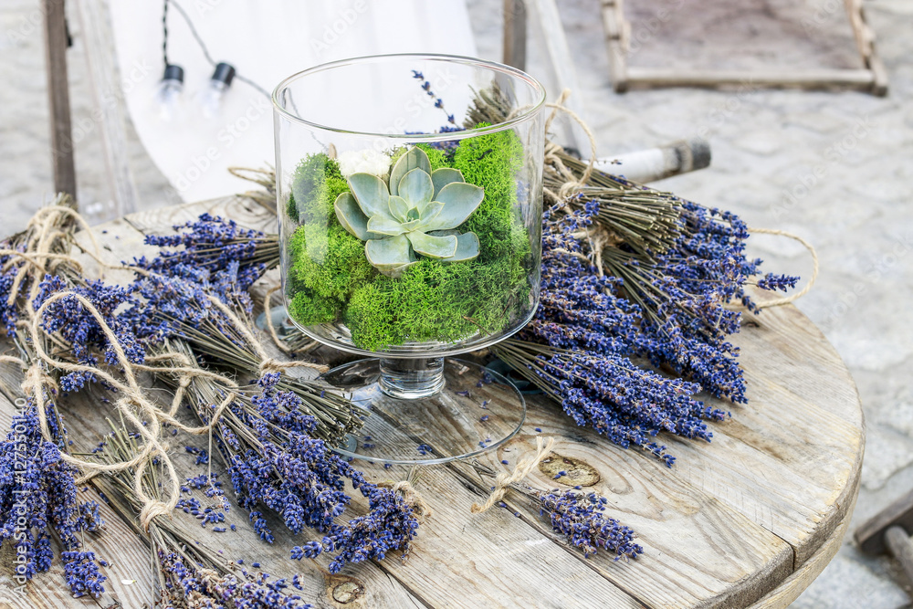Fotografie Succulents (echeveria) and moss in glass jar and lavender bunche