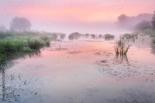 Sunrise over a misty pond