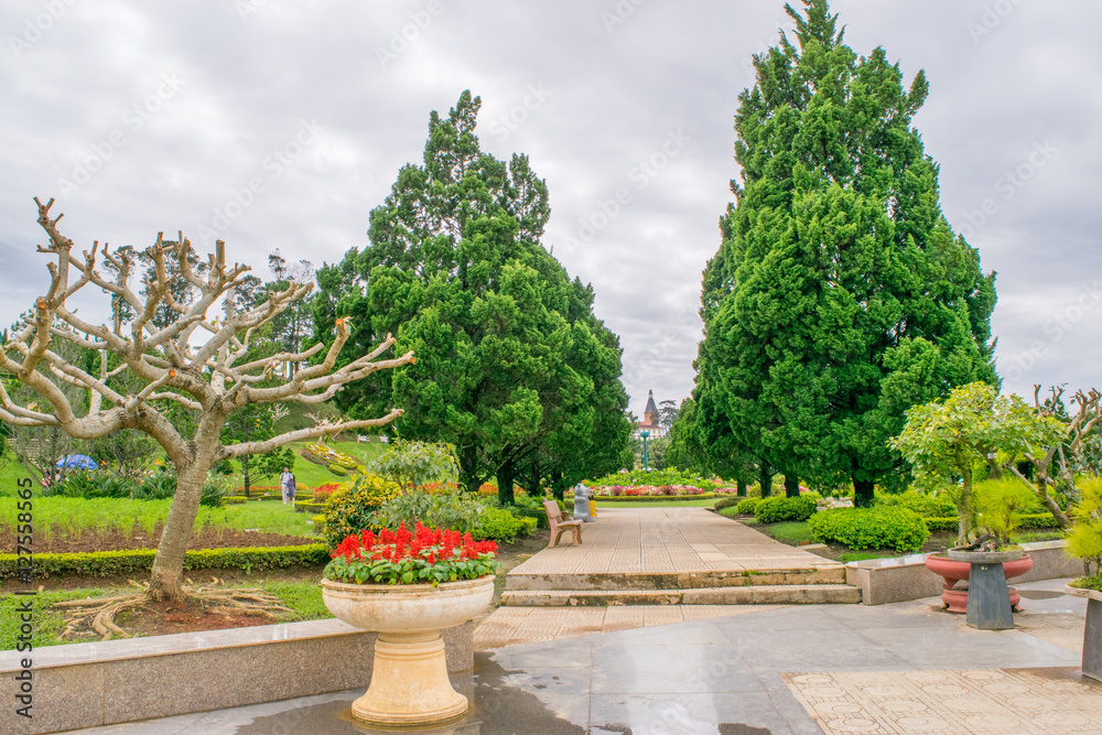 Park of flowers in Dalat Vietnam lush flowers, trees, bushes and decoration
