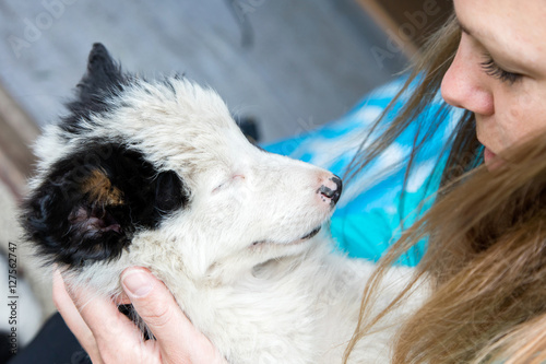 Small Border Collie puppy in the arms of a woman