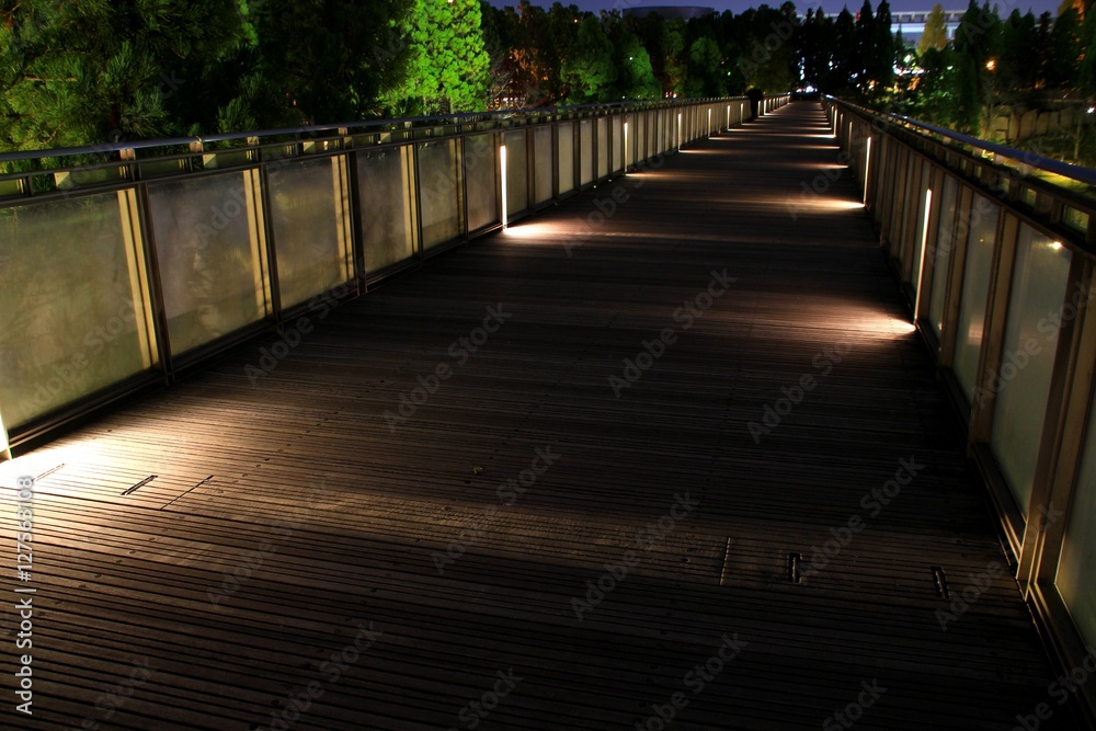 Obraz premium 公園散歩道ライトアップ