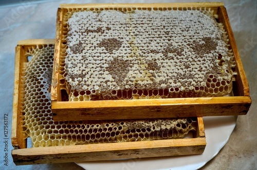 мед пчелиный в сотах