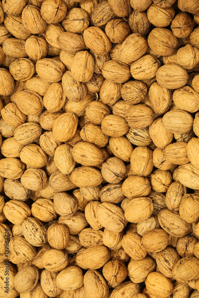 background of small organic walnuts just harvested background of small organic walnuts just harvested