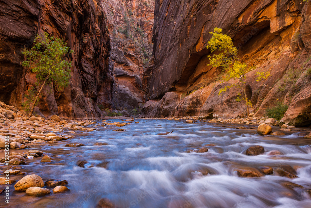 Virgin River in The Narrows Zion National Park