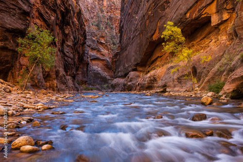 Virgin River in The Narrows Zion National Park