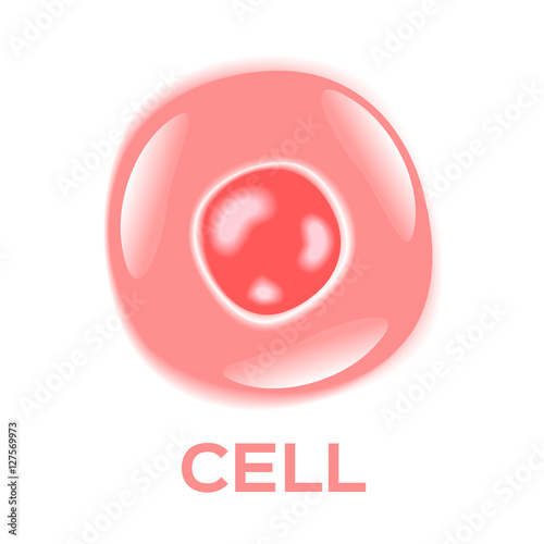 pink cell icon . skin cell . vector