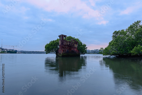 102 year old Shipwrecks of Homebush in Sydney Australia became A Floating Forest. photo