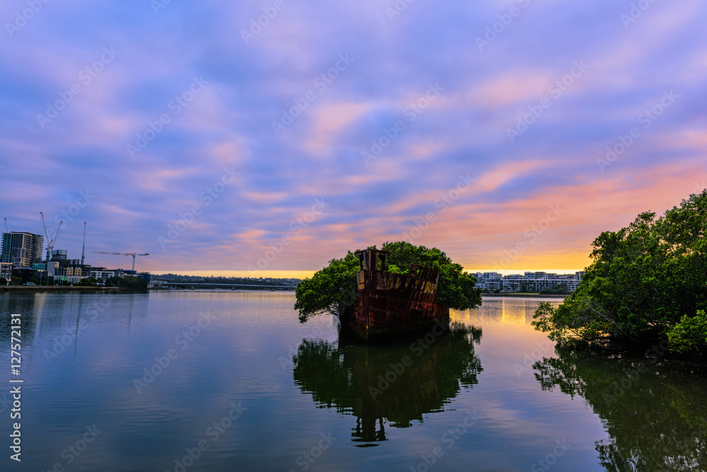 102 year old Shipwrecks of Homebush in Sydney Australia became A Floating Forest.