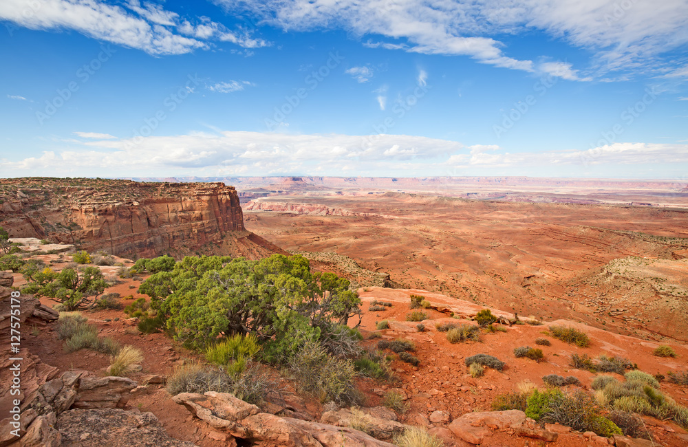 Fototapeta premium Canyonlands