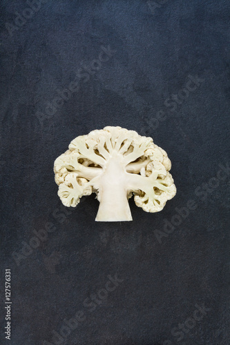 Half the white cauliflower isolated on gray slate stone backgrou