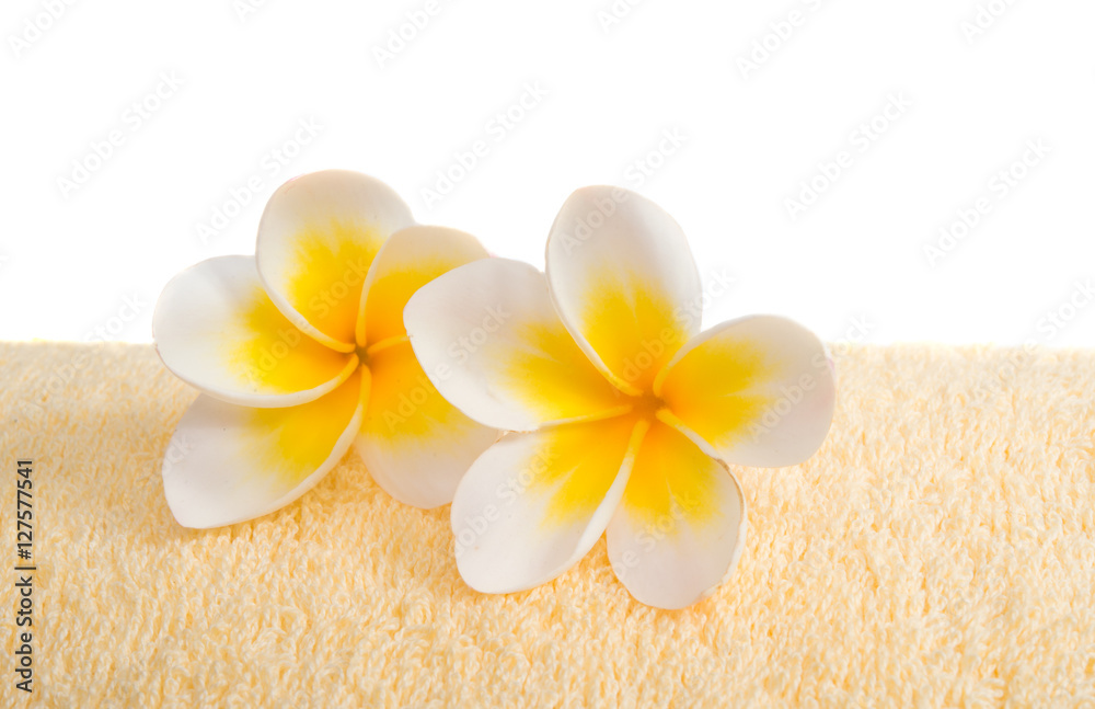 frangipani flower on a towel