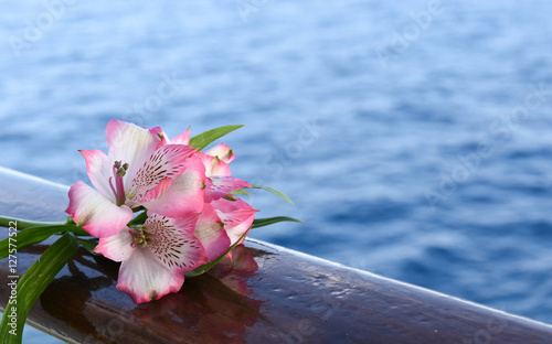 Fototapeta Naklejka Na Ścianę i Meble -  Pink Alstroemeria flower - Peruvian lily or lily of the Incas. Ocean in the bacground.