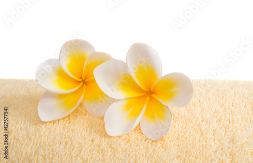 frangipani flower on a towel