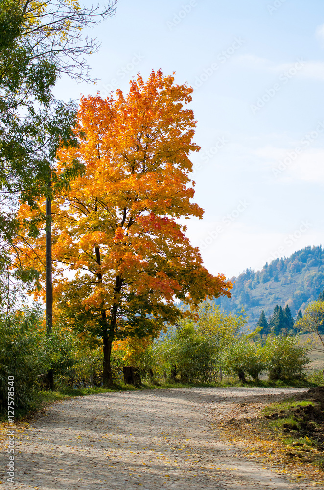 Naklejka premium Stories of the Fall