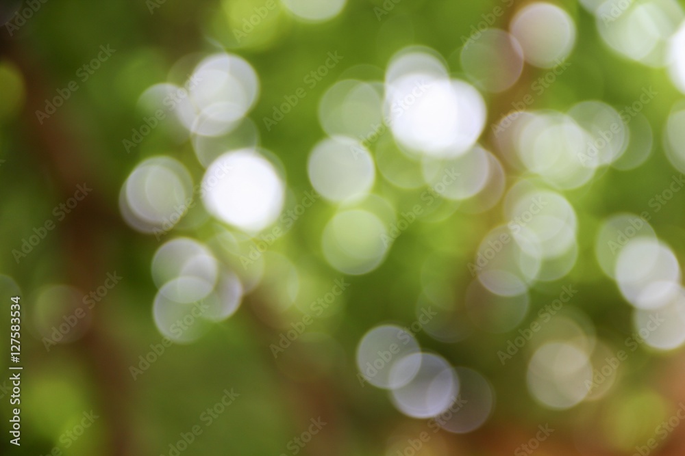 Obraz premium Bokeh natural color background, colorful leaf of the tree