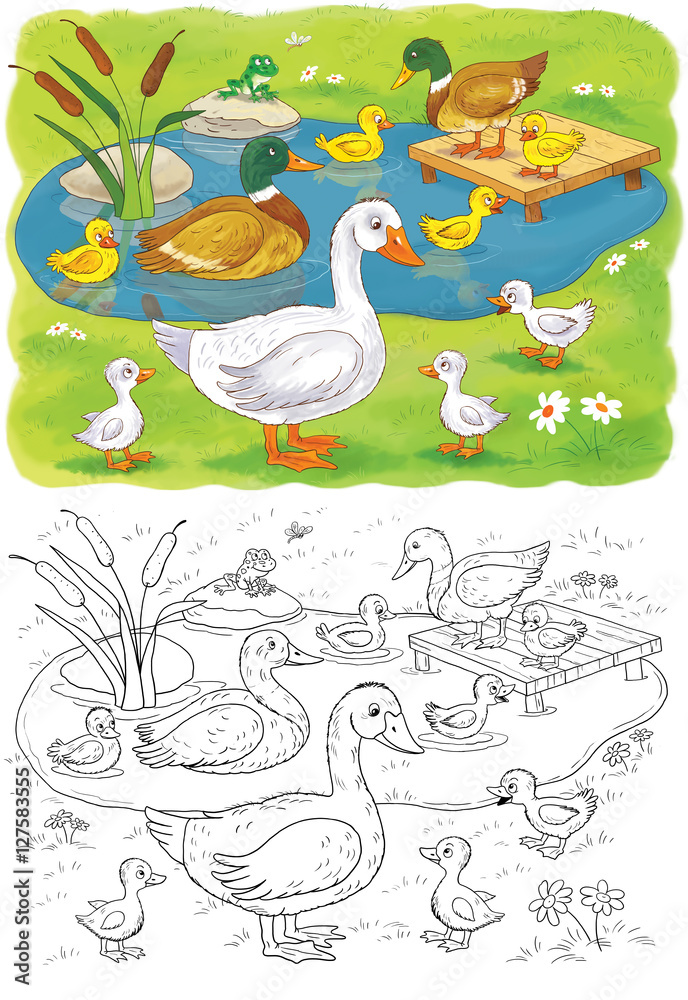 Cute farm animals. Cute goose, duck with ducklings. Coloring book. Coloring page. Funny cartoon characters