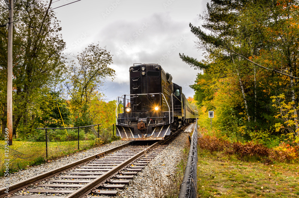 Obraz premium Black Diesel Locomotive on a Cloudy Autumn Day