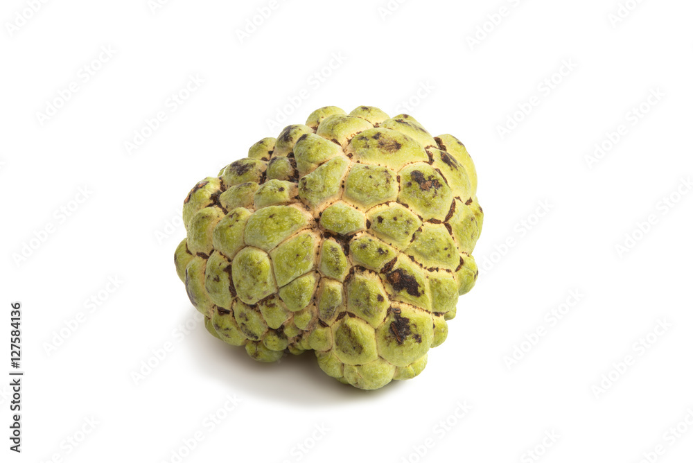 Fresh Custard Apple isolated Fresh Custard Apple isolated