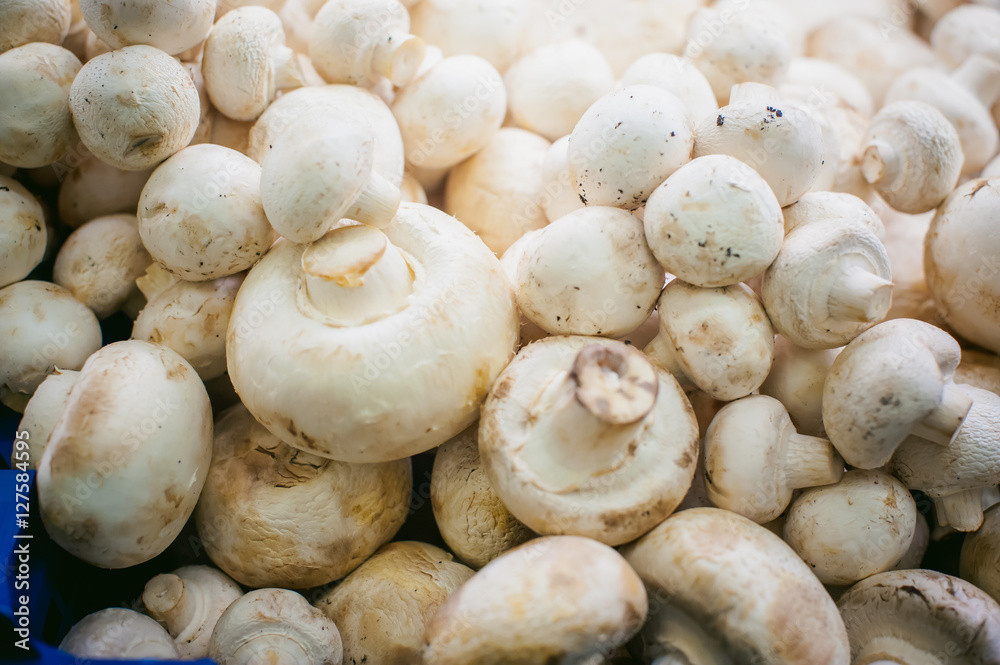 champignon mushrooms on display. a lot of fresh raw mushroom heap lies on the shelves champignon mushrooms on display. a lot of fresh raw mushroom heap lies on the shelves
