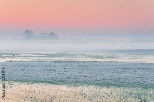 Frosty early morning over a misty and marshy meadow with frozen water