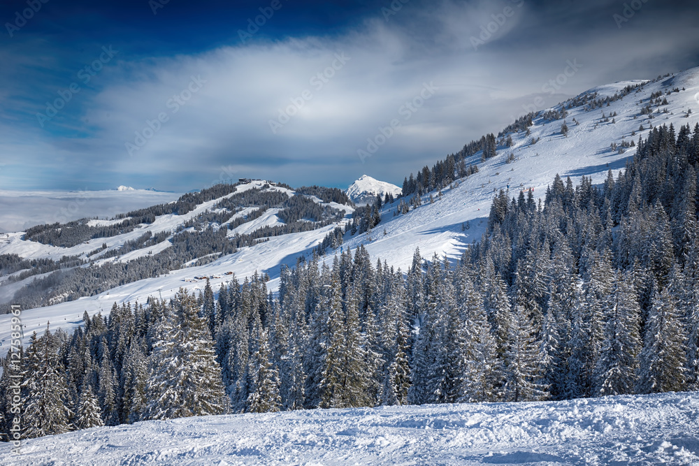 Trees covered by fresh snow in Tyrolian Alps, Kitzbühel ski resort, Austria