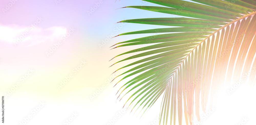 Palm tree leaves over peaceful tropical beach background, blue sea landscape card